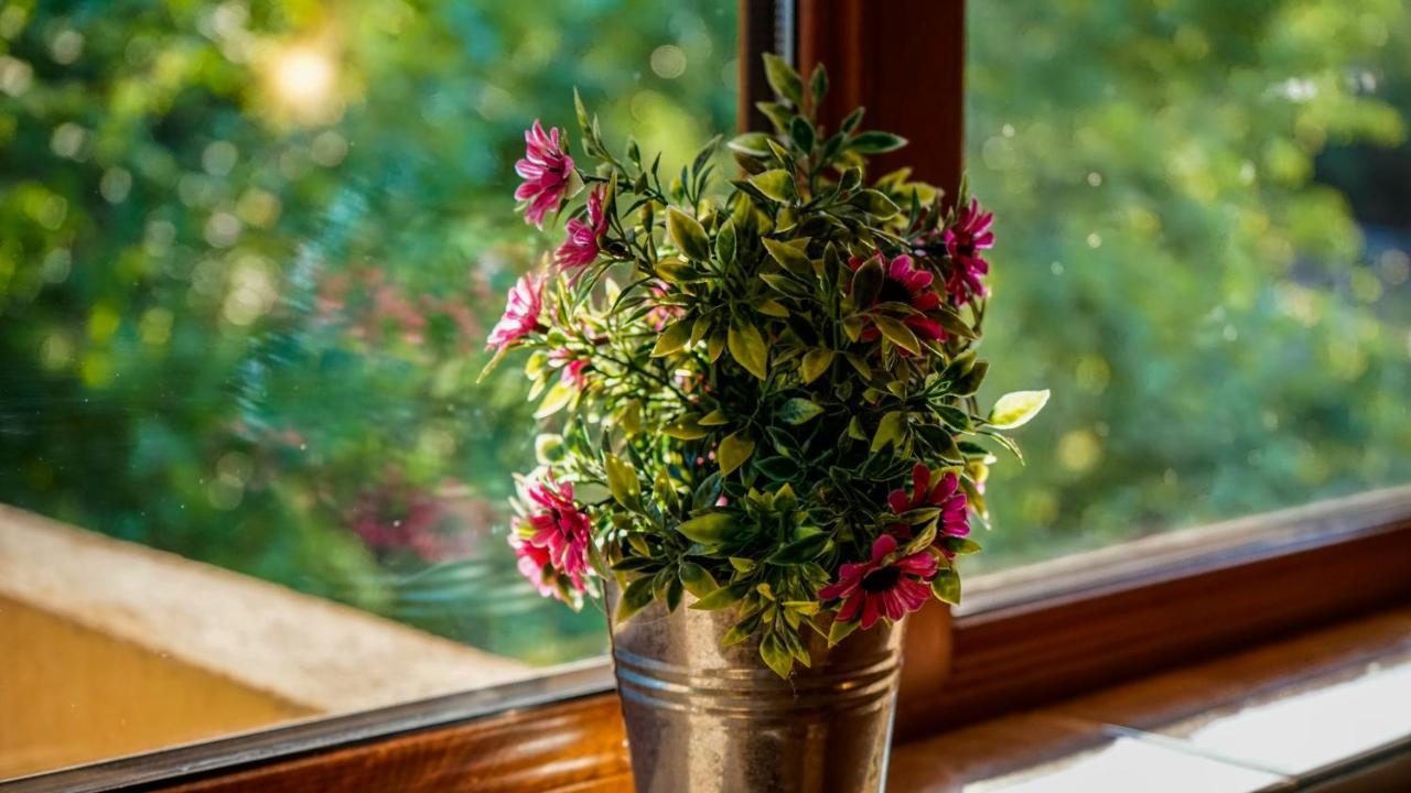 Tatyana Guest House Byala  Εξωτερικό φωτογραφία